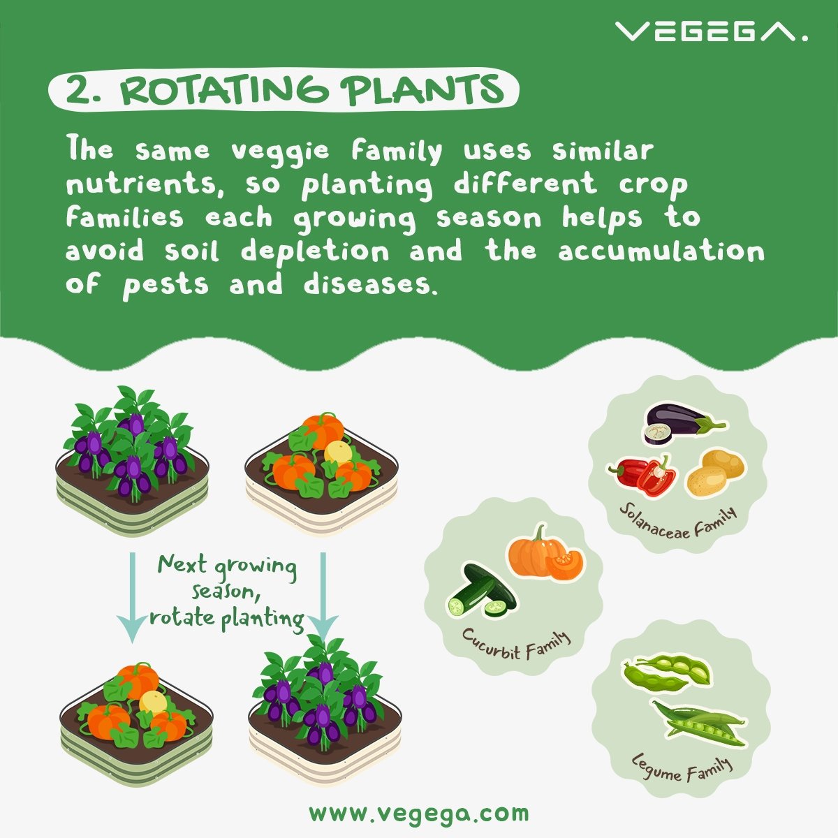 Vegega-Infographic-rotating-plants-in-metal-raised-garden-beds