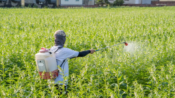 Agricoltura ecosostenibile