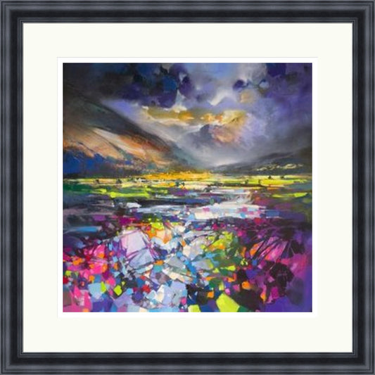 Uig Magenta - Limited Edition Paper Print