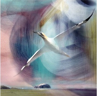Peffer Sands, Bird & Bass Rock by Esther Cohen