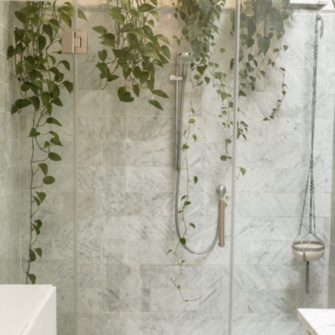 Nature Inspired Walk In Shower