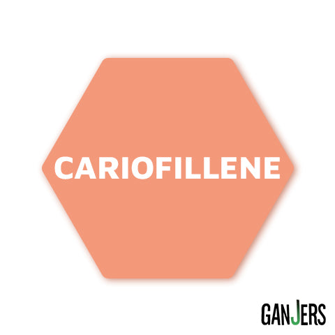 terpene-cariofillene