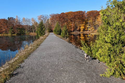 walk in nature