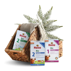 holle baby formula guide