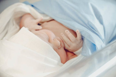 Best Baby Formula for Premature Babies