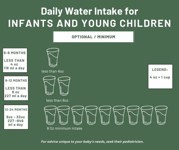 At What Age Can Babies Drink Water?