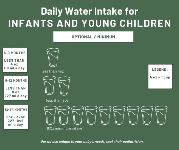 Daily Water Intake