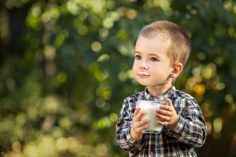 toddler formula vs milk comparison