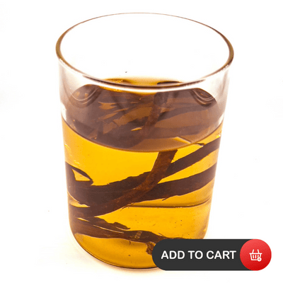 Aquarium botanicals like indian almond betta bark in a blackwater aquarium by Betta Botanicals.