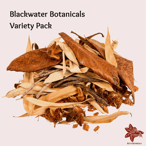 Pile of leaves, seed pods, twigs by Betta Botanicals, for Betta Fish Tanks, Blackwater and Biotope Aquariums, and Nature Aquariums.