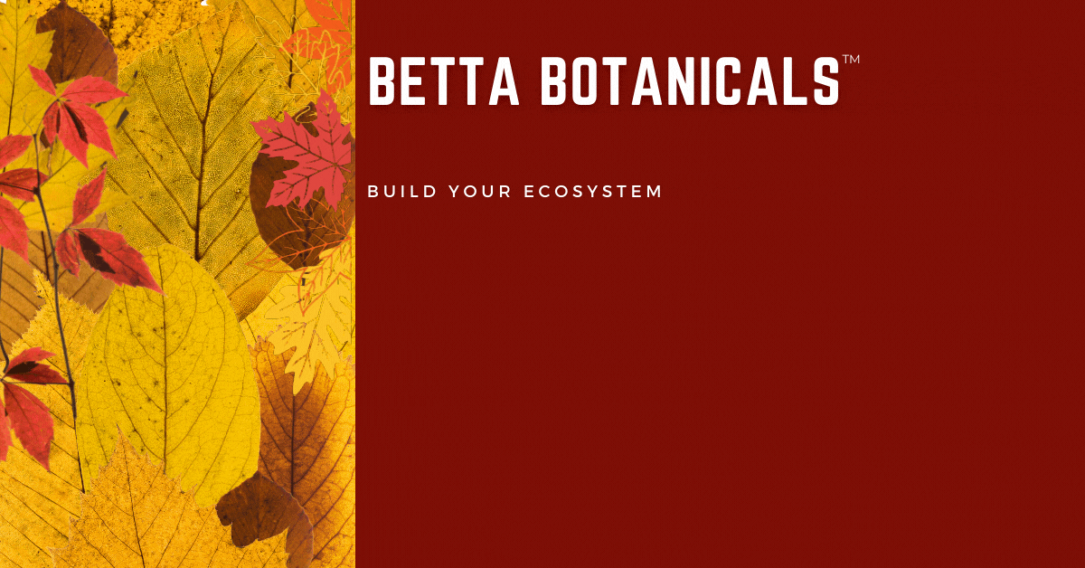 Betta Botanicals provides premium aquarium botanicals, leaves, seed pods, and bark for community fish collected from safe environments. All of our sustainable products are packaged inside compostable bags. 