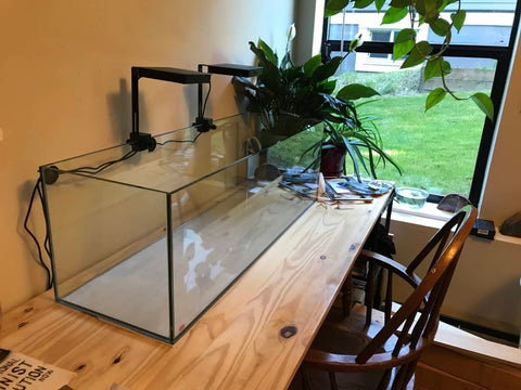 An empty botanical method aquarium for a future blackwater biotope by Betta Botanicals.