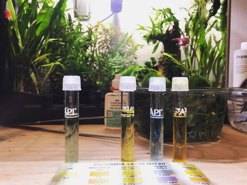 A test kit for a botanical aquarium by Betta Botanicals.