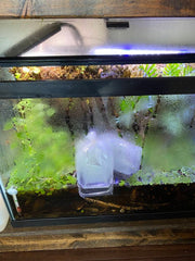  Float the sealed bag in your aquarium for at least 15 minutes but no longer than one hour to allow for temperature acclimation. The water in the bag should be the same temperature as that of your tank prior to proceeding to the next step.
