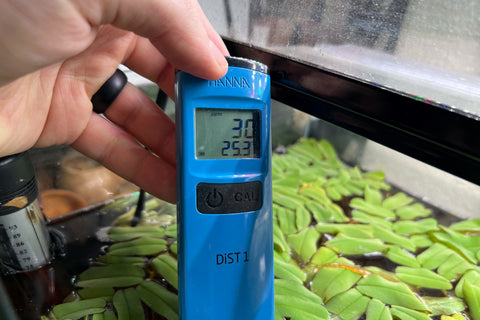 A blue temperature and tds probe in an aquarium with green plants measuring ideal betta fish temperature at Betta Botanicals.