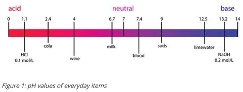 A graph of pH compared to common everday household items with acids on the left and bases on the right at Betta Botanicals.