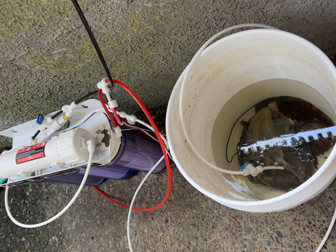 a white bucket of reverse osmosis water and a three chamber osmosis unit on concrete making ro water for blackwater and botanical method aquariums at Betta Botanicals.