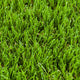 Castlevale 37mm Artificial Grass