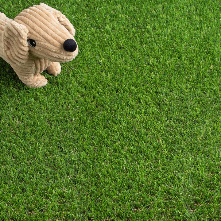 Daisy 40mm Artificial Grass | Buy Artificial Grass Online 