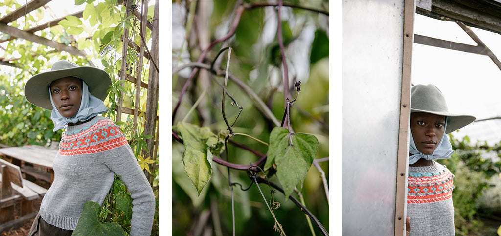 Two more images of the Tiny Pebbles sweater, and an atmospheric picture of leaves in a greenhouse.