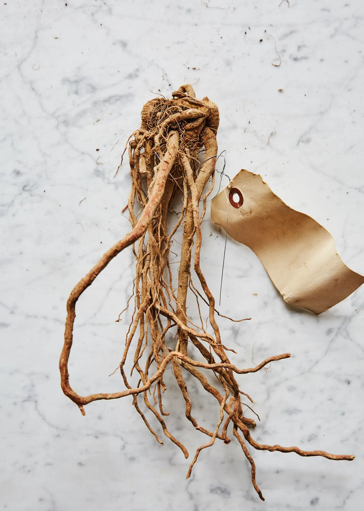 Photo of ashwagandha root