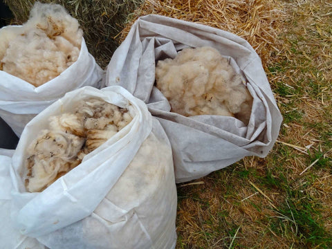 Washing and preparing raw wool fleeces