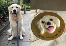 Load image into Gallery viewer, Custom Face Cake (Dog/Cat)