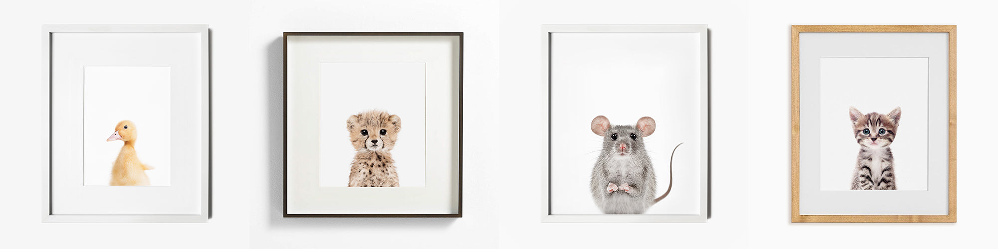 ideas where to find frames for nursery