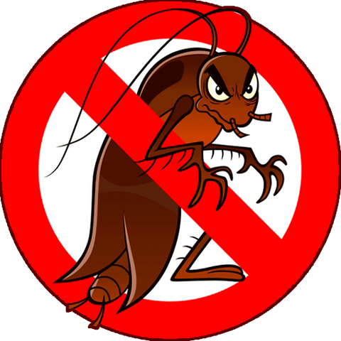 Gel anti cafard – Stop les nuisibles