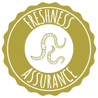 Freshness Assurance