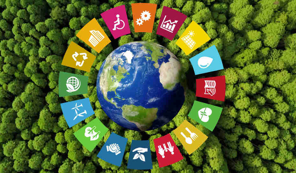 Several aspects of sustainable development