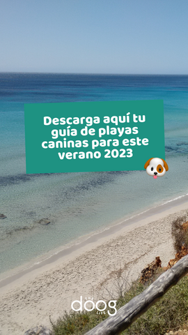 guia playas para perros 2023