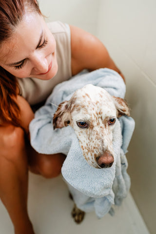 Mujer secando a su perro | The Doog Life