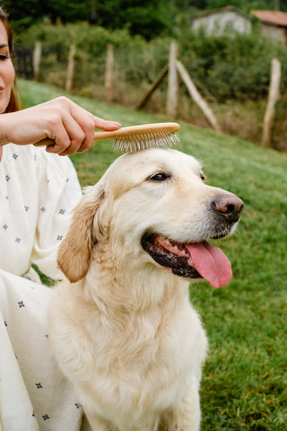 Cepillo de pelo largo para perros | The Doog Life