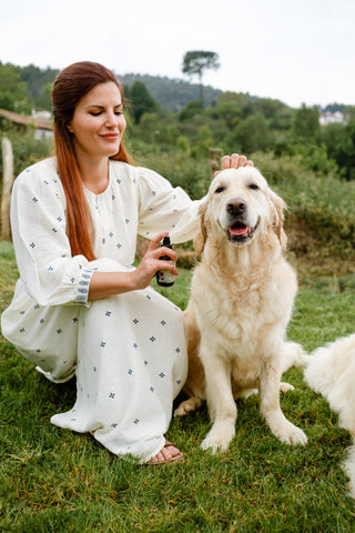 Mujer revisando oídos de su perro | The Doog Life