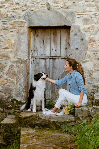 Tips para pasear con tu perro | The Doog Life