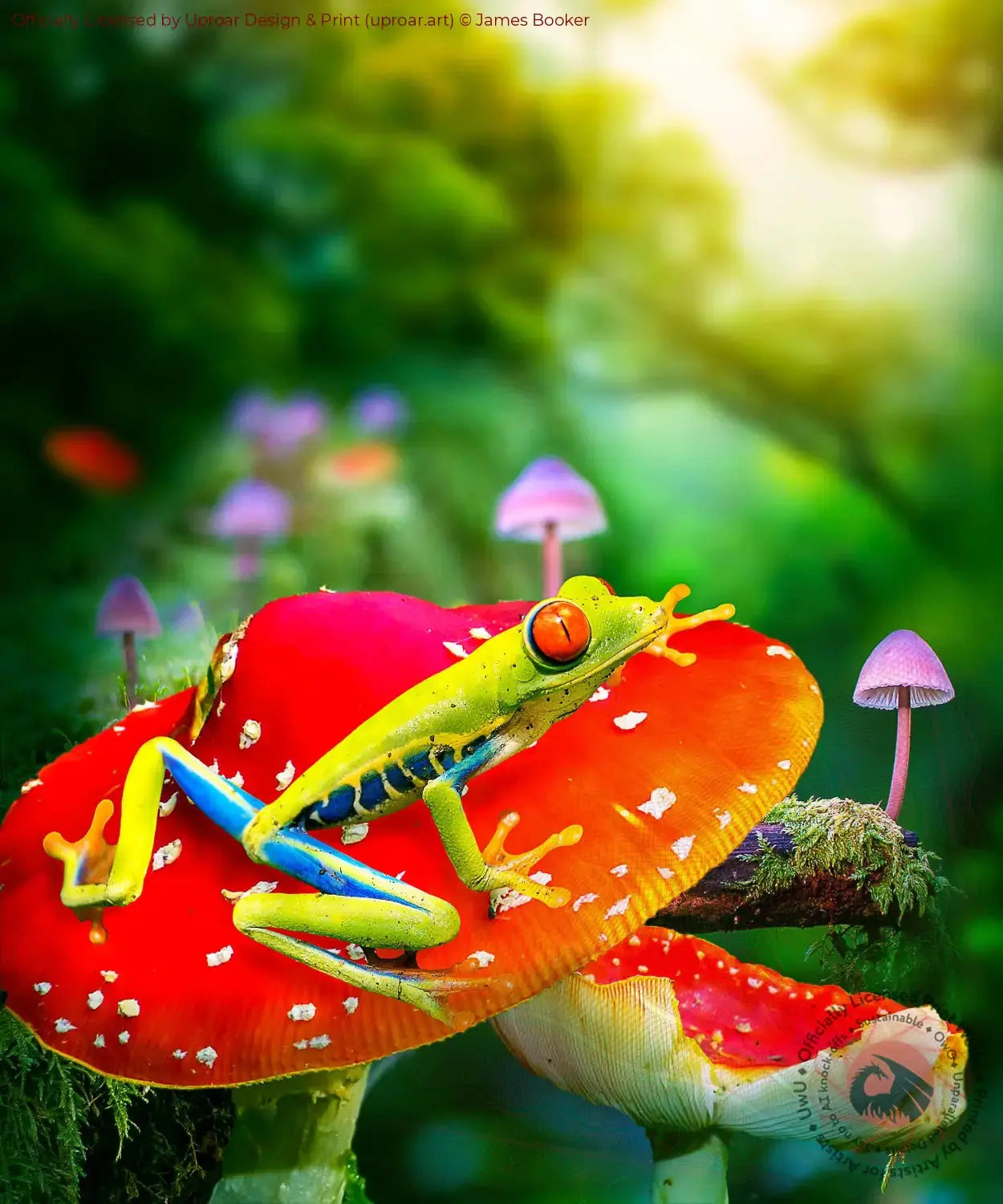 Red Eye Tree Frog