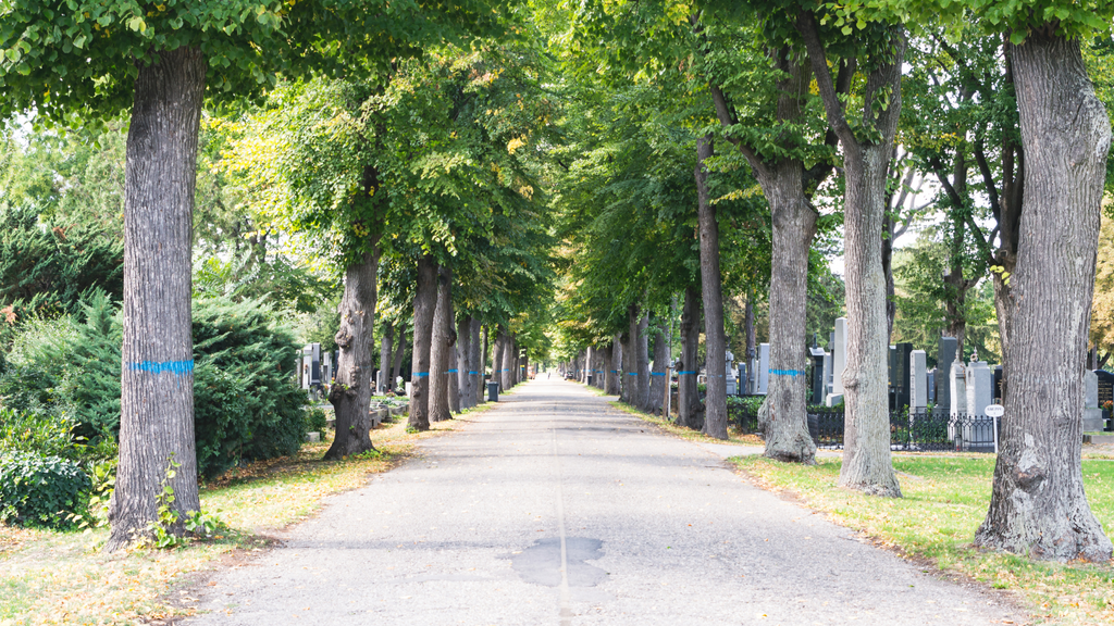 Natural, fresh space and architecture Central Cemetery