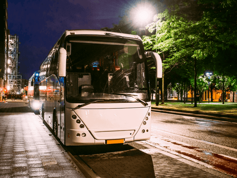 Discover MBS Bus Service in Europe