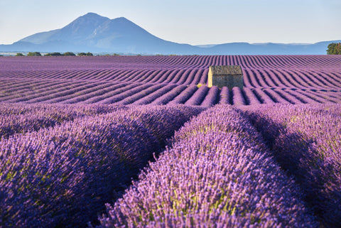 Provence - in France