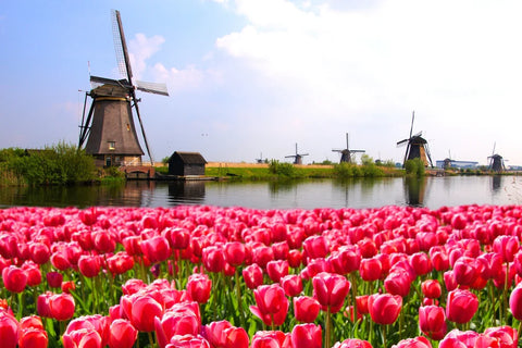 Where to travel in Europe in April: Places should be noted: Amsterdam