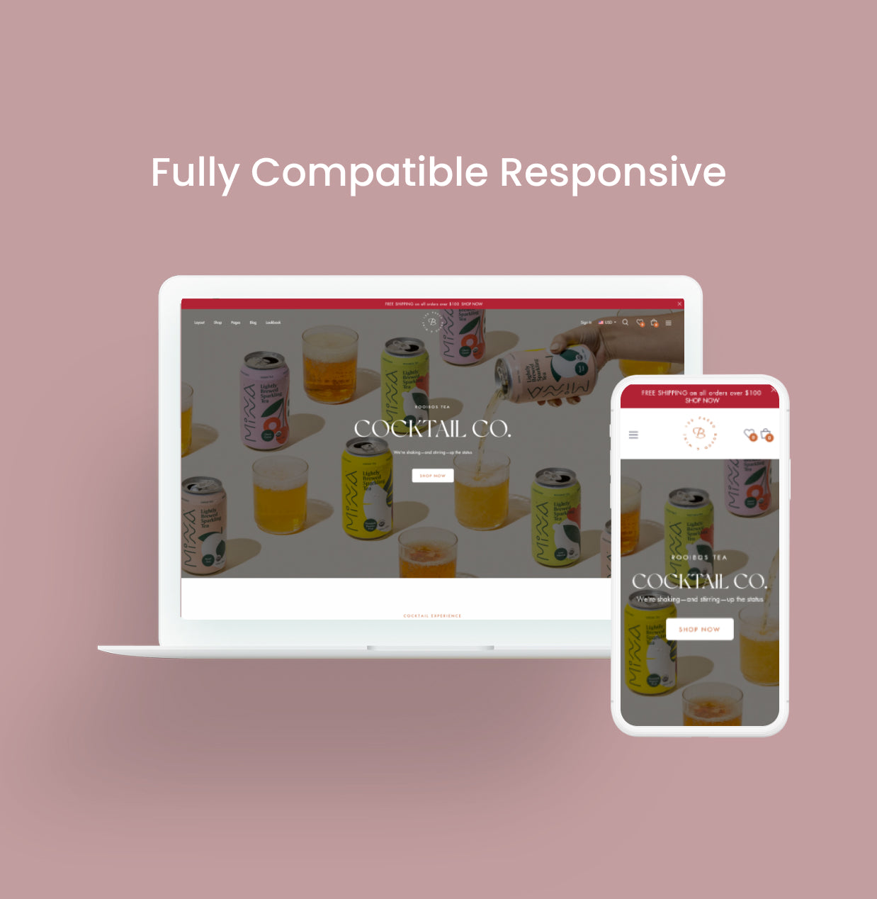 Responsive Shopify Theme