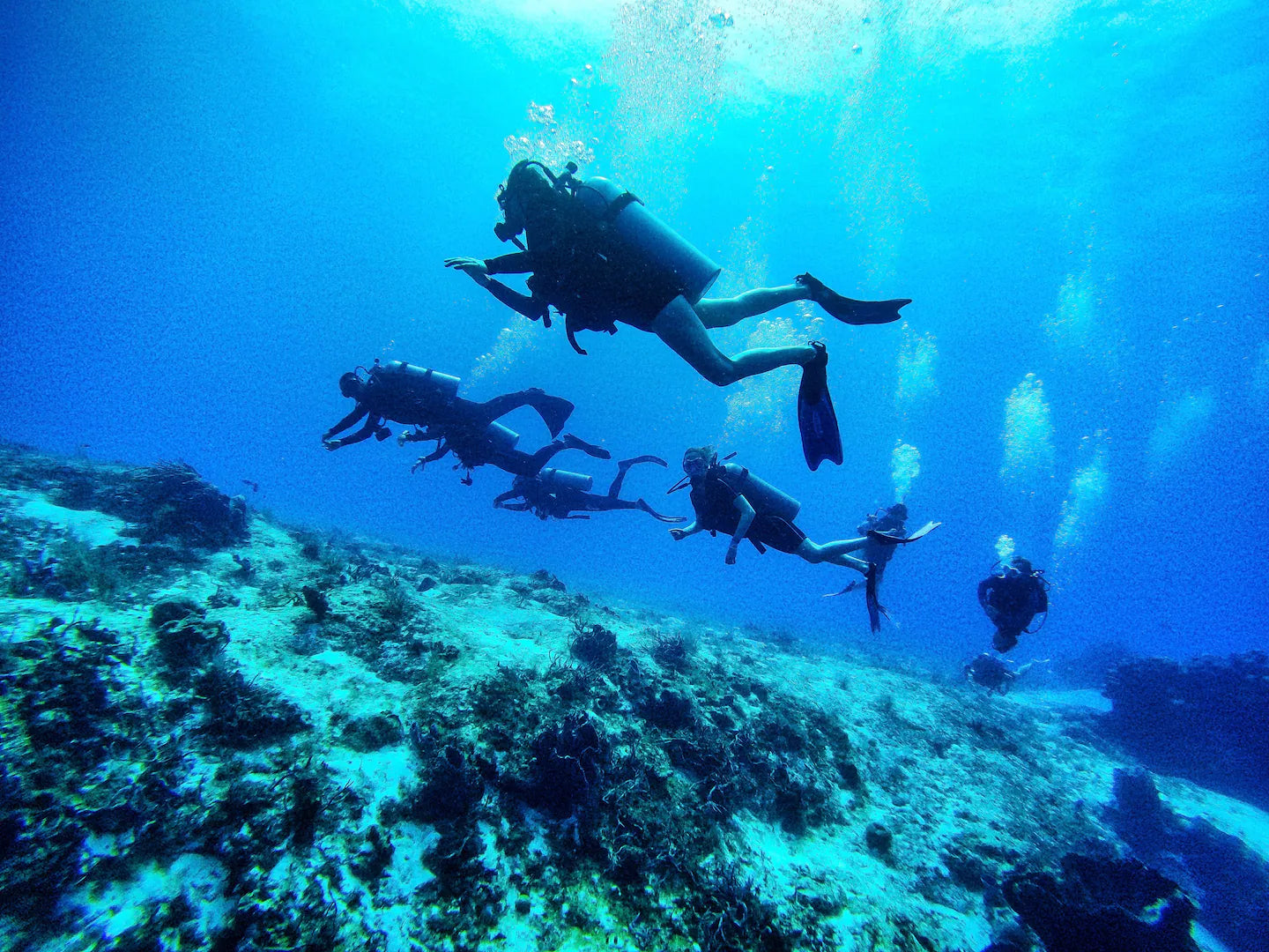 COZUMEL DIVING PARADISE – La Perle Noire - Auberge Pirate