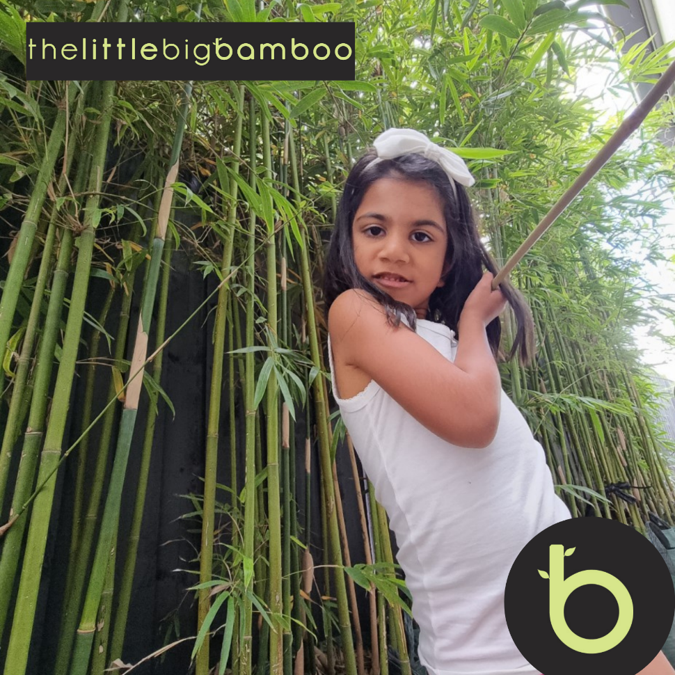 the little big bamboo