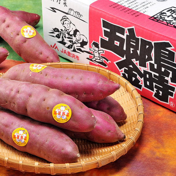 石川県産「加賀野菜　五郎島金時（秀品）」3kgの通販｜Kuradashiでフードロス・食品ロス削減！