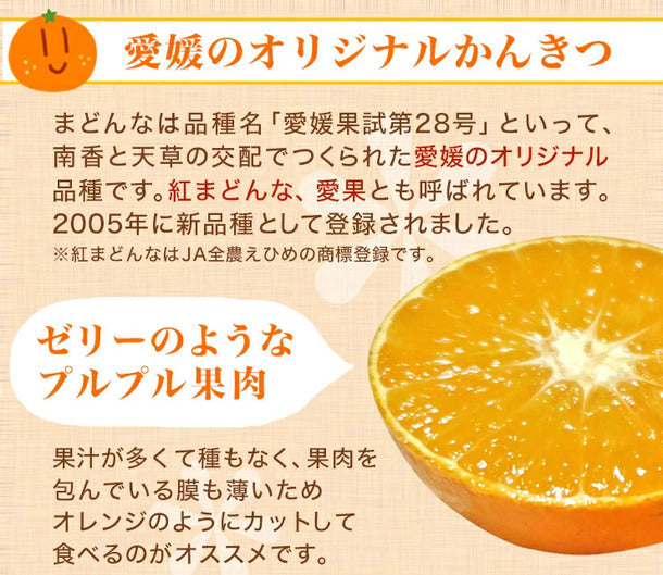 愛媛県産「訳ありみかん 紅まどんな」5kg