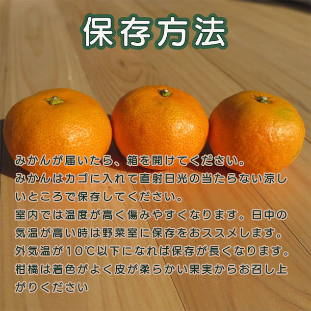 愛媛県産「秀品みかん まどんな（愛果28号）」約3kg（10～15玉）の通販