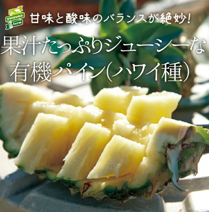 沖縄県産「有機パイナップル　ハワイ種」3玉の通販｜Kuradashiでフードロス・食品ロス削減！