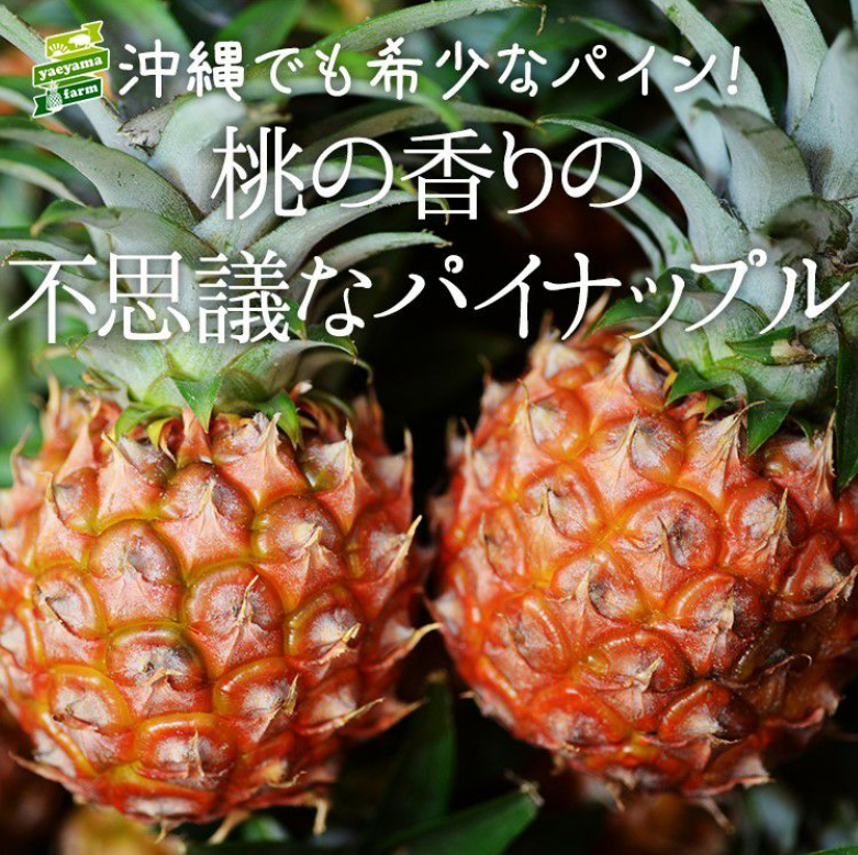 沖縄県産「有機パイナップル　ピーチ種」3玉の通販｜Kuradashiでフードロス・食品ロス削減！