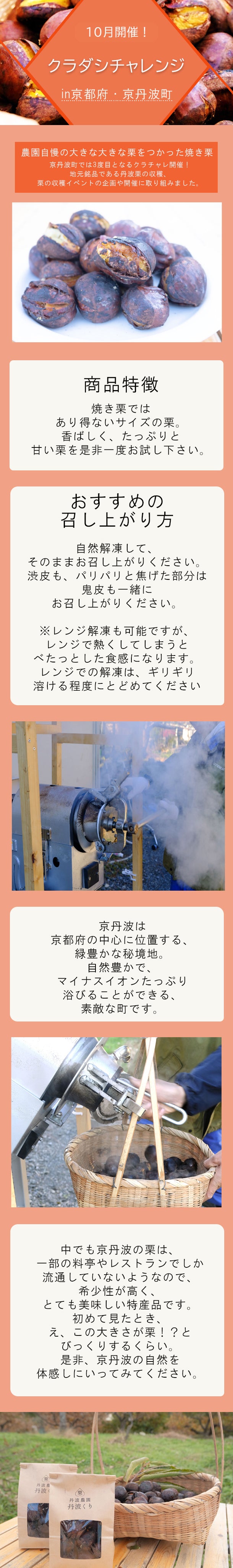 京丹波町産「丹波農園の焼き栗（農園招待券付き）」800g【クラチャレふるさとだより】の通販｜Kuradashiでフードロス・食品ロス削減！